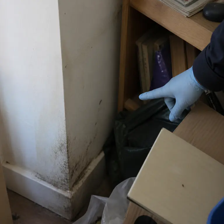 Kostenfaktoren bei Messiewohnungen Bewertung des Verschmutzungsgrads als Kostenfaktor bei einer Messiewohnung